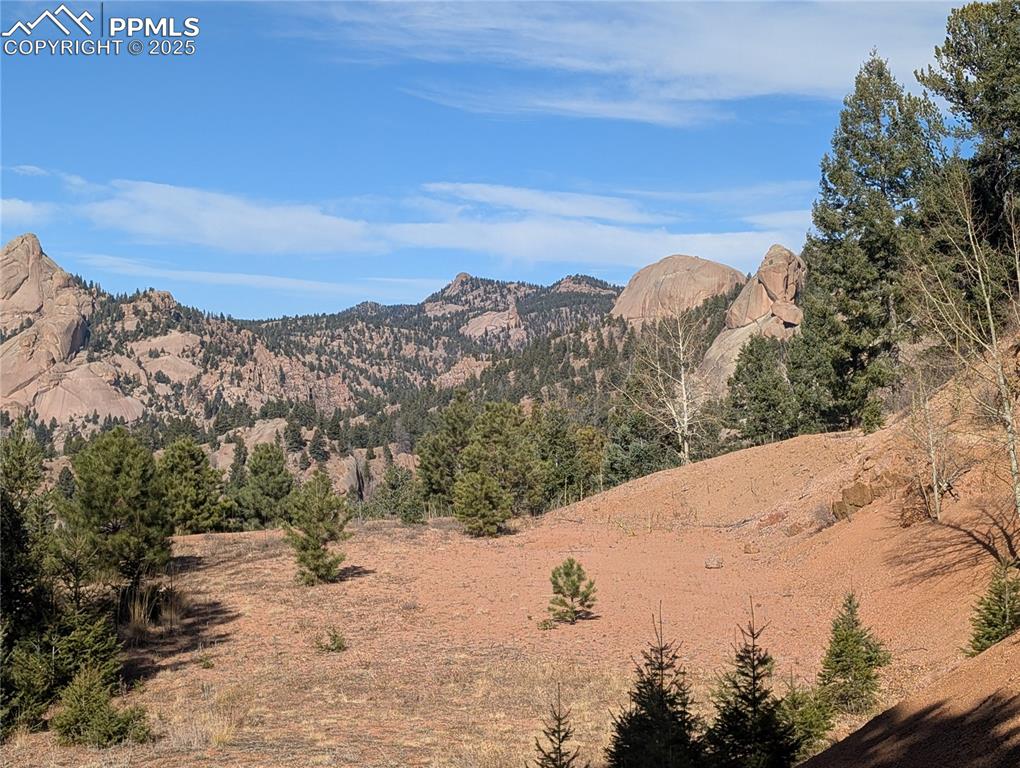 130 Lookout Road Cripple Creek CO 80813