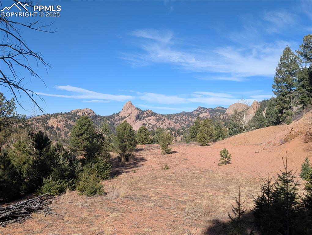 130 Lookout Road Cripple Creek CO 80813