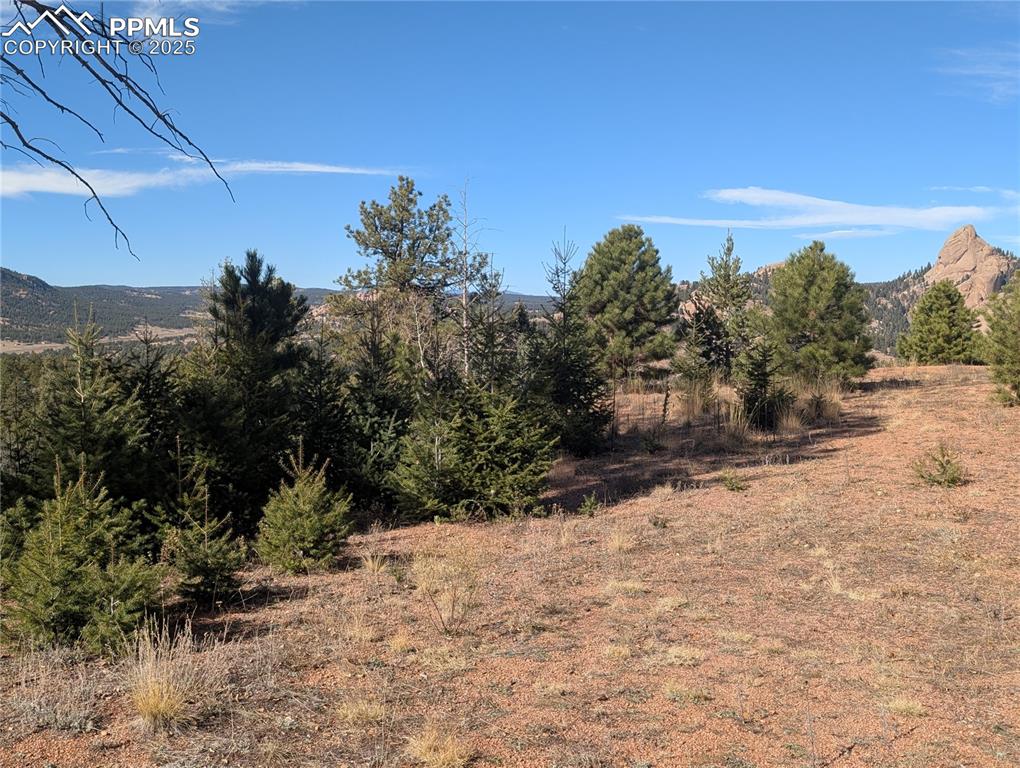 130 Lookout Road Cripple Creek CO 80813