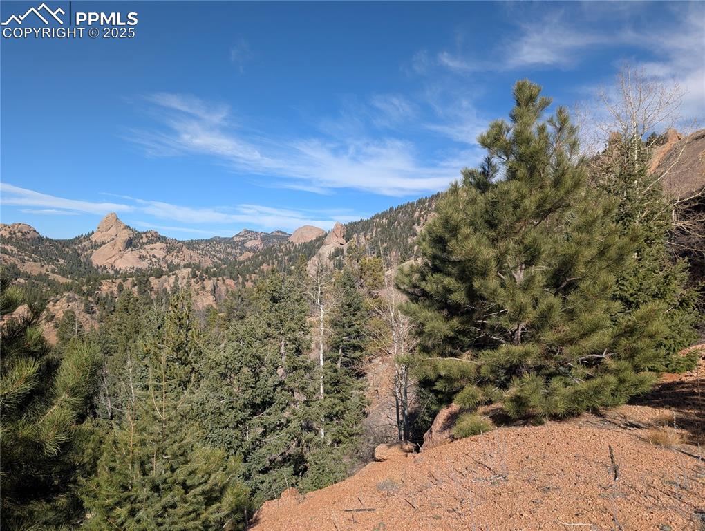 130 Lookout Road Cripple Creek CO 80813