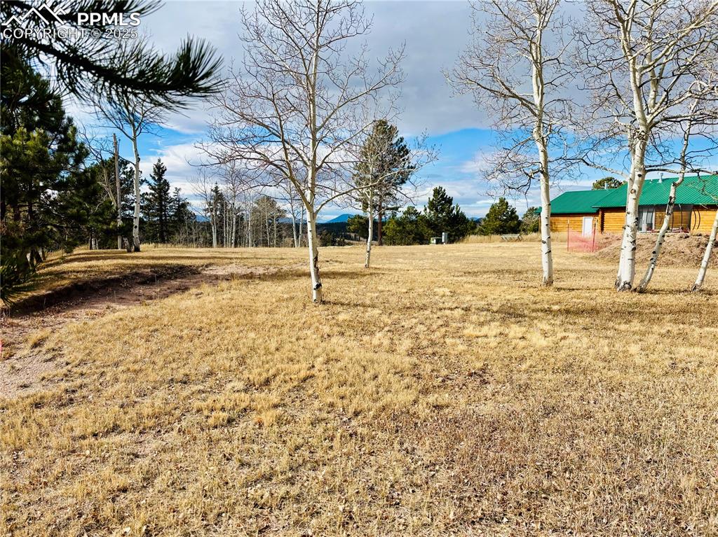 799 Elfin Glen Drive Divide CO 80814