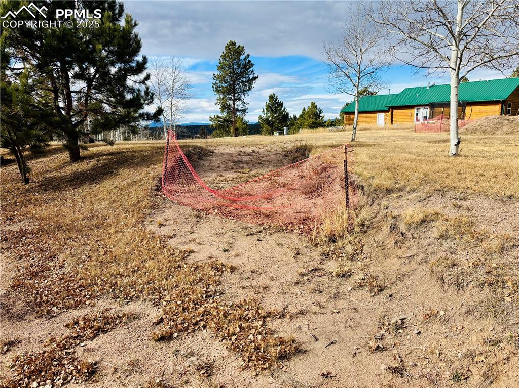 799 Elfin Glen Drive Divide CO 80814