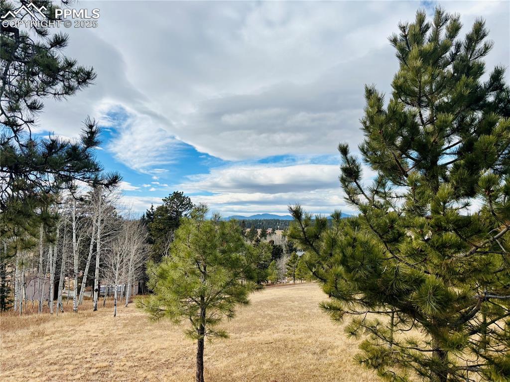 799 Elfin Glen Drive Divide CO 80814