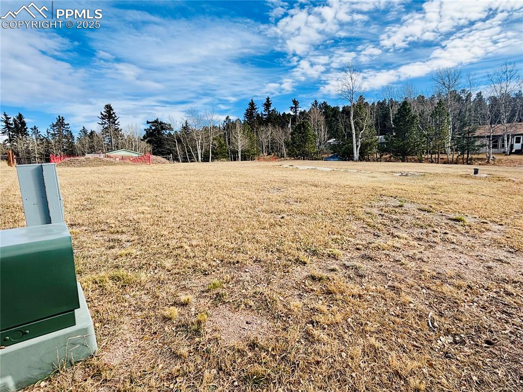 799 Elfin Glen Drive Divide CO 80814