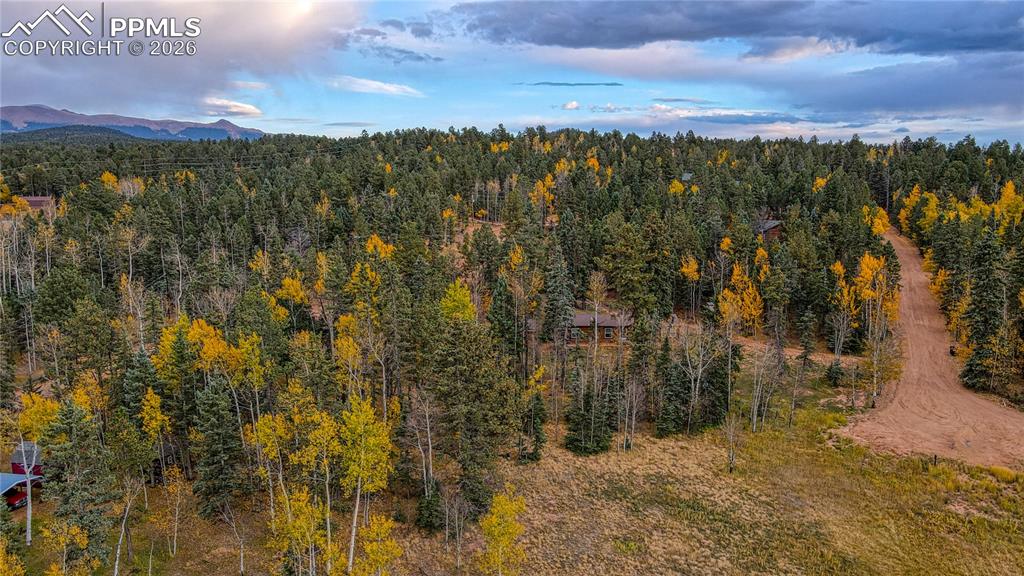 166 Denwood Drive Florissant CO 80816