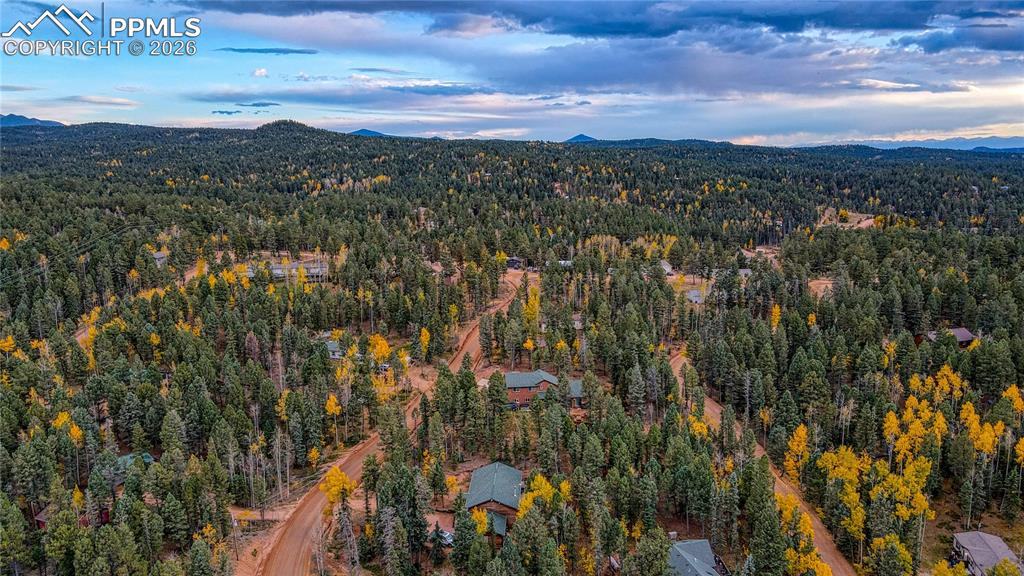 166 Denwood Drive Florissant CO 80816