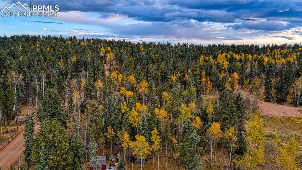 166 Denwood Drive Florissant CO 80816