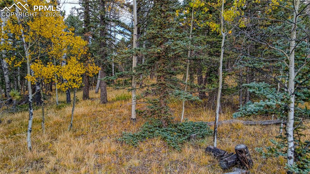 166 Denwood Drive Florissant CO 80816