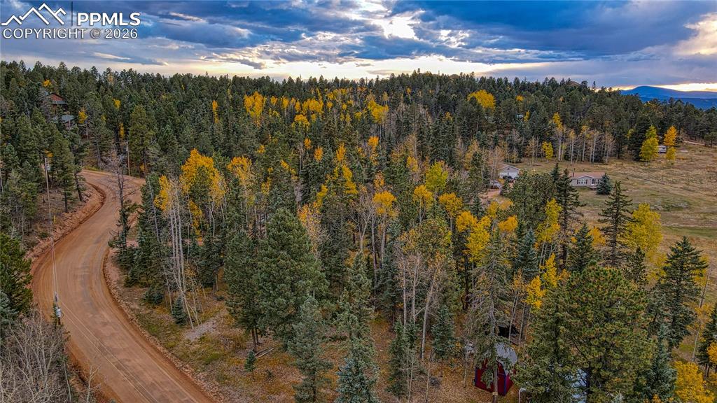 166 Denwood Drive Florissant CO 80816