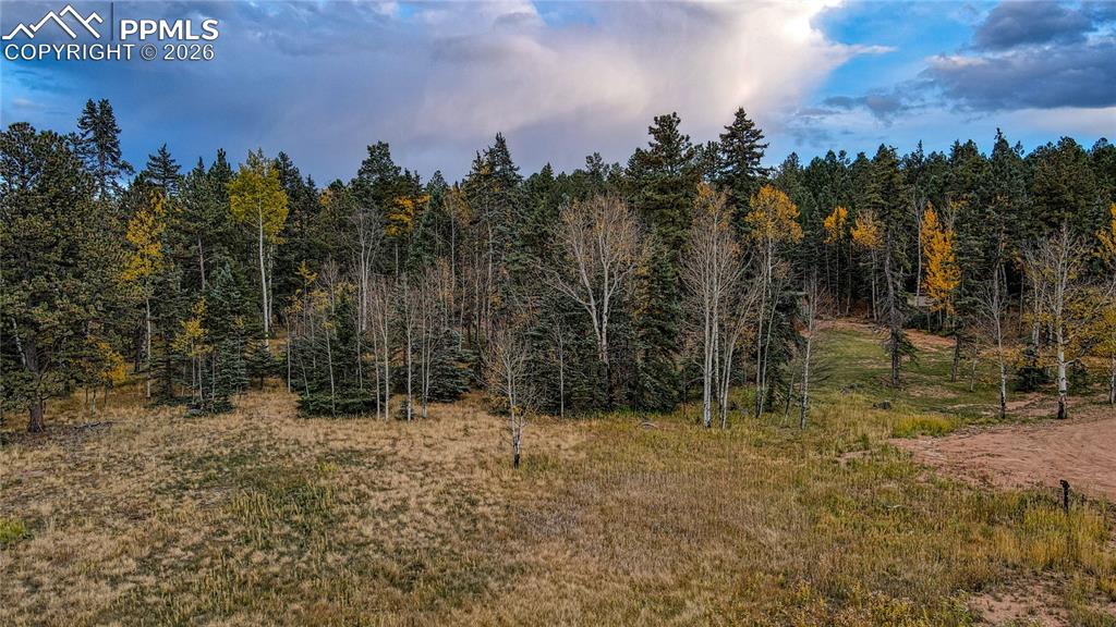 166 Denwood Drive Florissant CO 80816