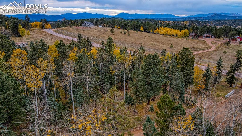 166 Denwood Drive Florissant CO 80816