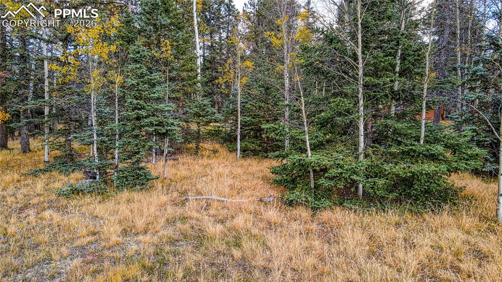 166 Denwood Drive Florissant CO 80816