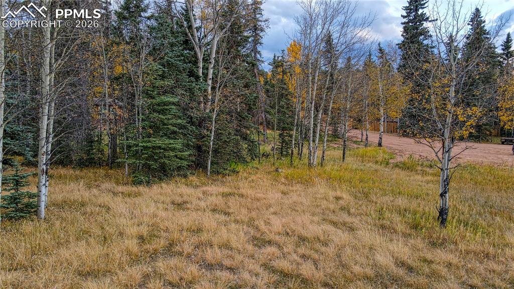 166 Denwood Drive Florissant CO 80816