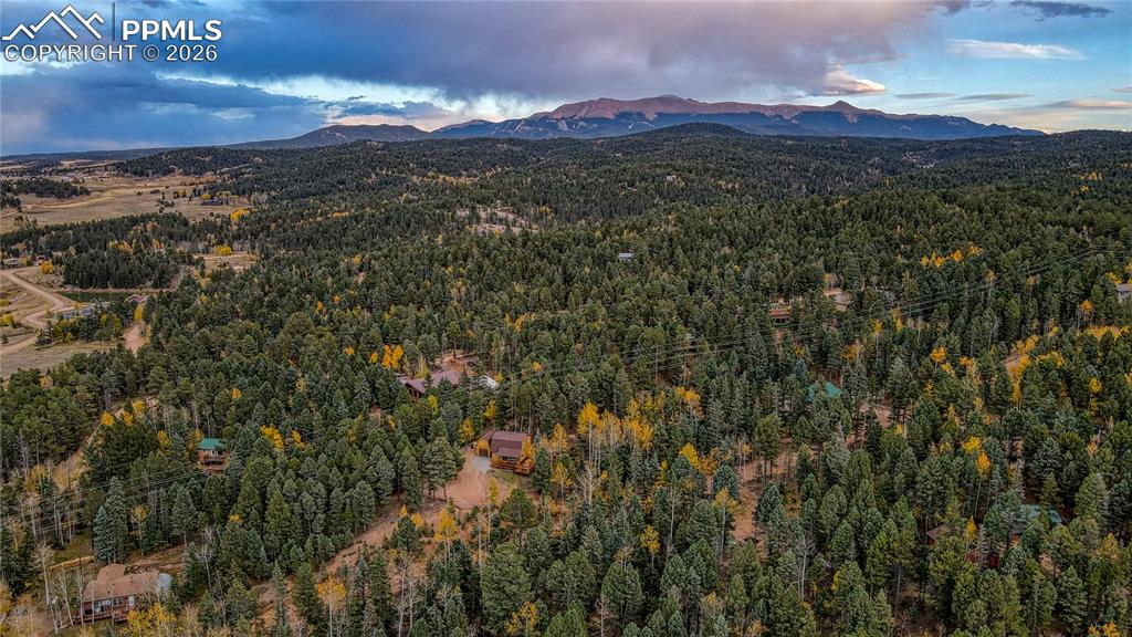 166 Denwood Drive Florissant CO 80816