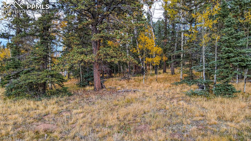 166 Denwood Drive Florissant CO 80816