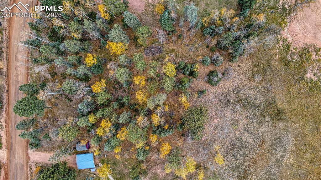166 Denwood Drive Florissant CO 80816