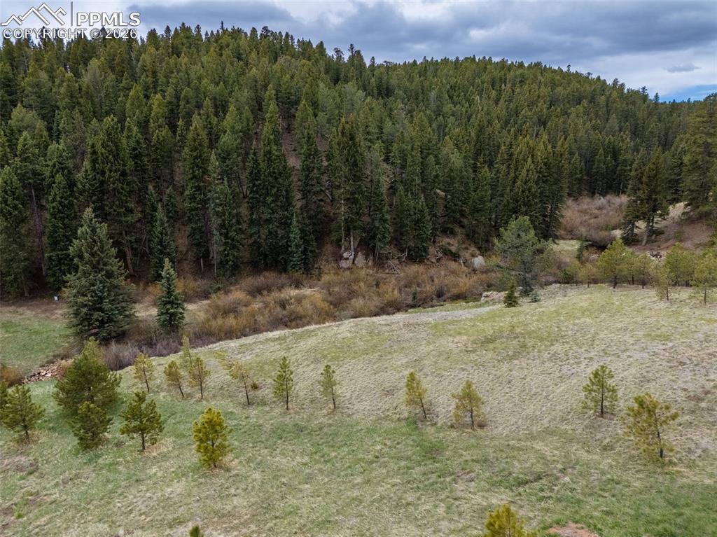 521 University Drive Woodland Park CO 80863