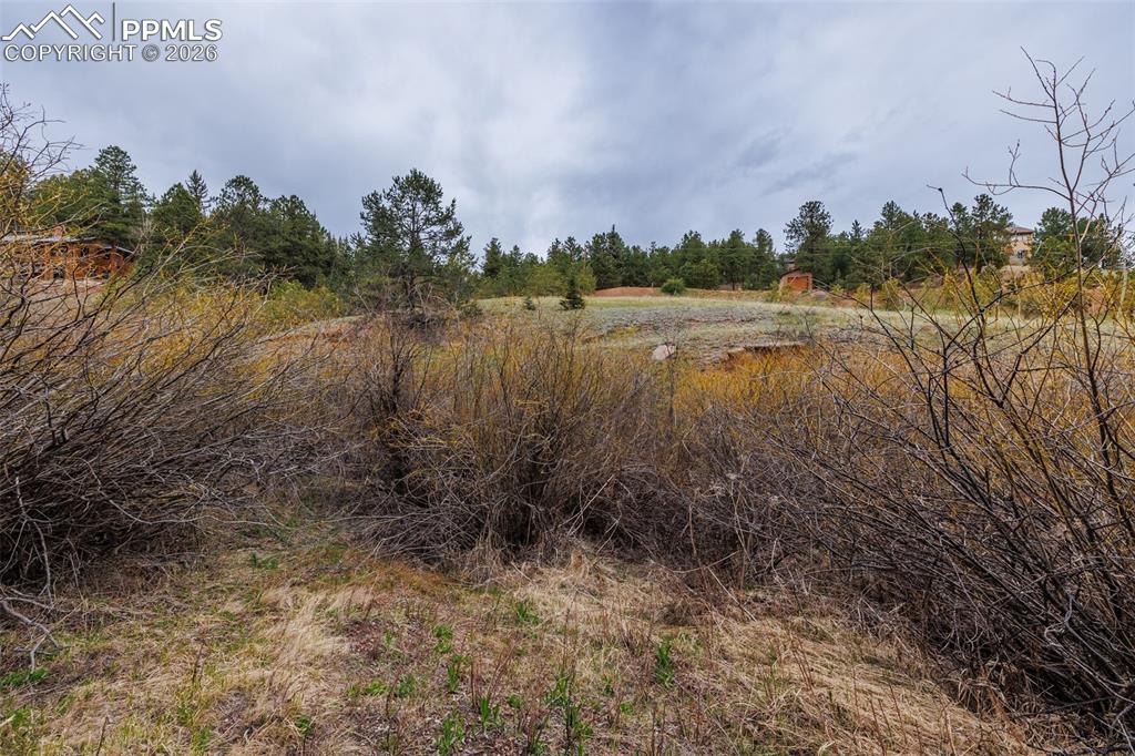 521 University Drive Woodland Park CO 80863
