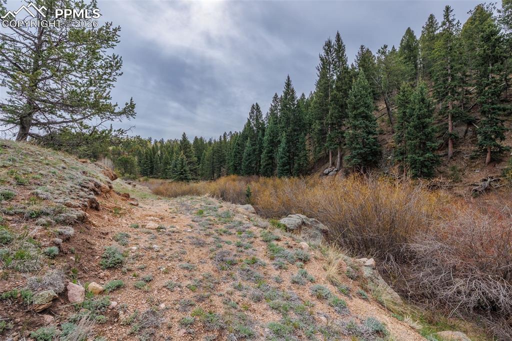 521 University Drive Woodland Park CO 80863