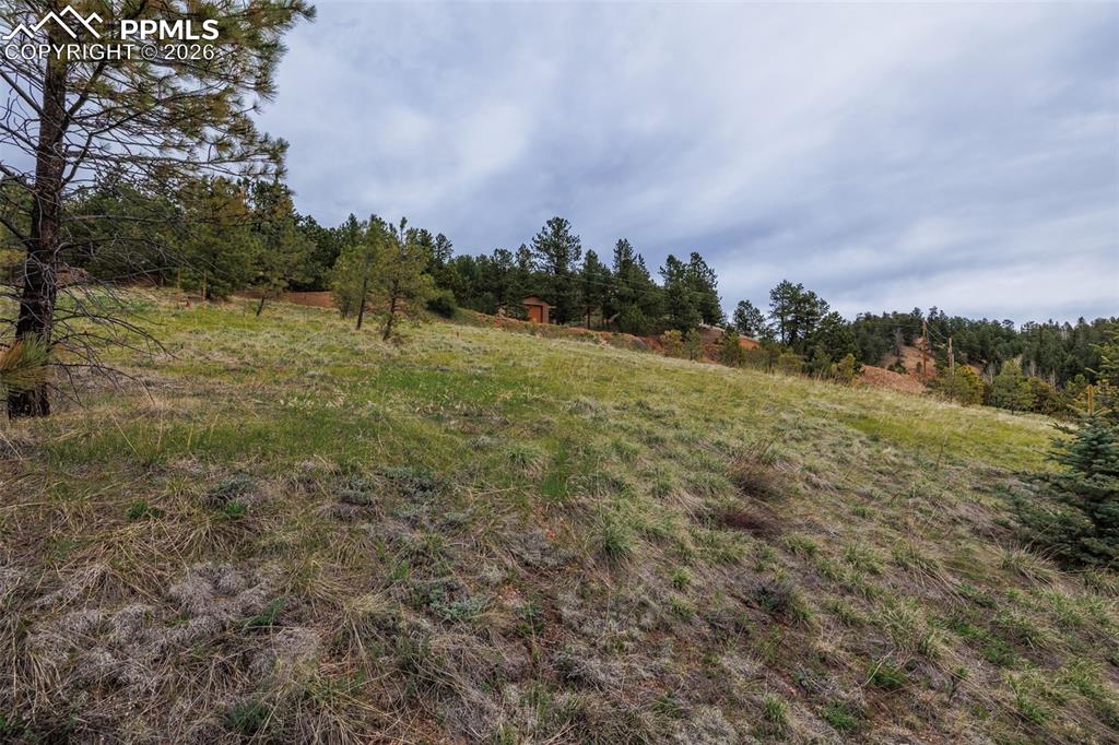 521 University Drive Woodland Park CO 80863