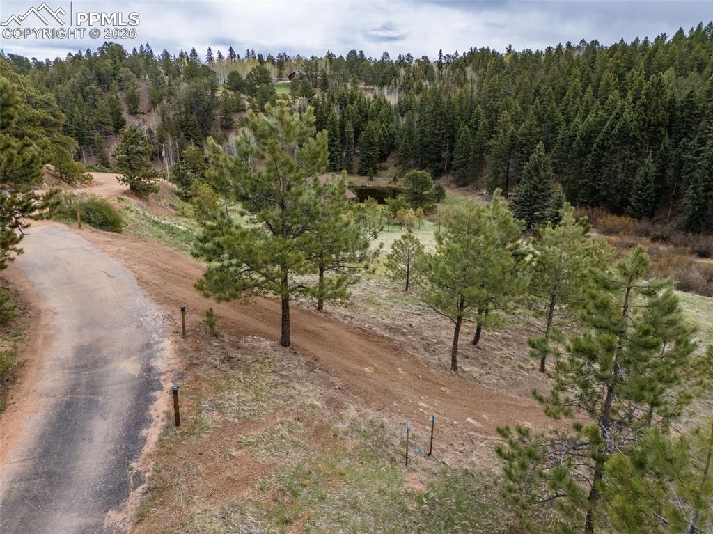 521 University Drive Woodland Park CO 80863