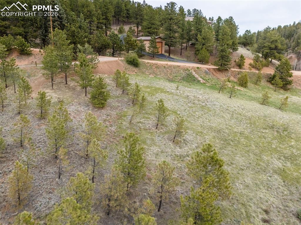 521 University Drive Woodland Park CO 80863