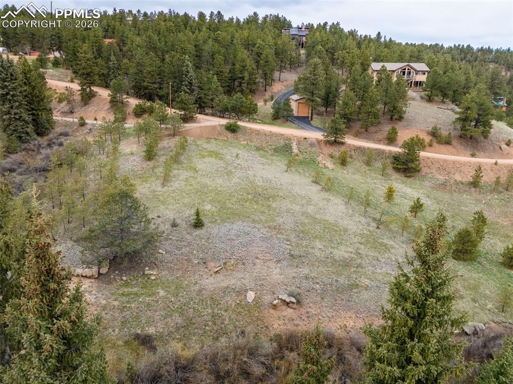 521 University Drive Woodland Park CO 80863