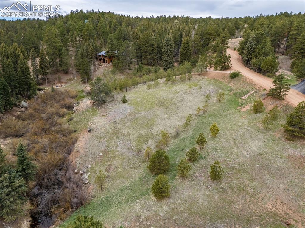 521 University Drive Woodland Park CO 80863