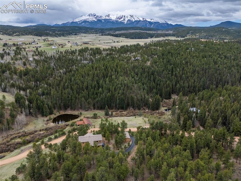 521 University Drive Woodland Park CO 80863
