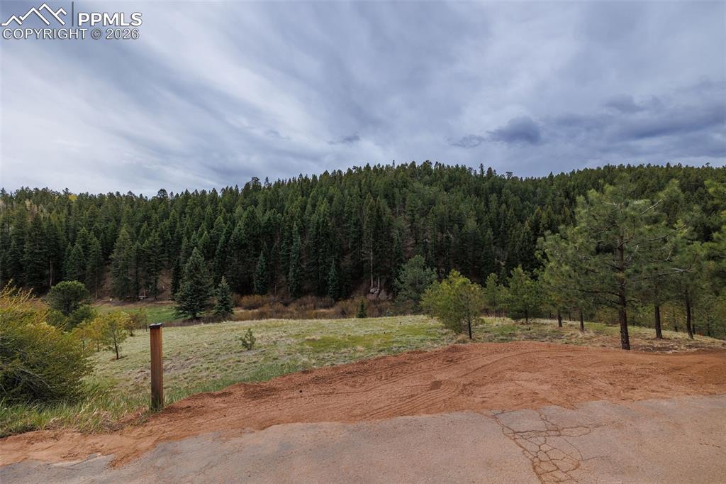 521 University Drive Woodland Park CO 80863