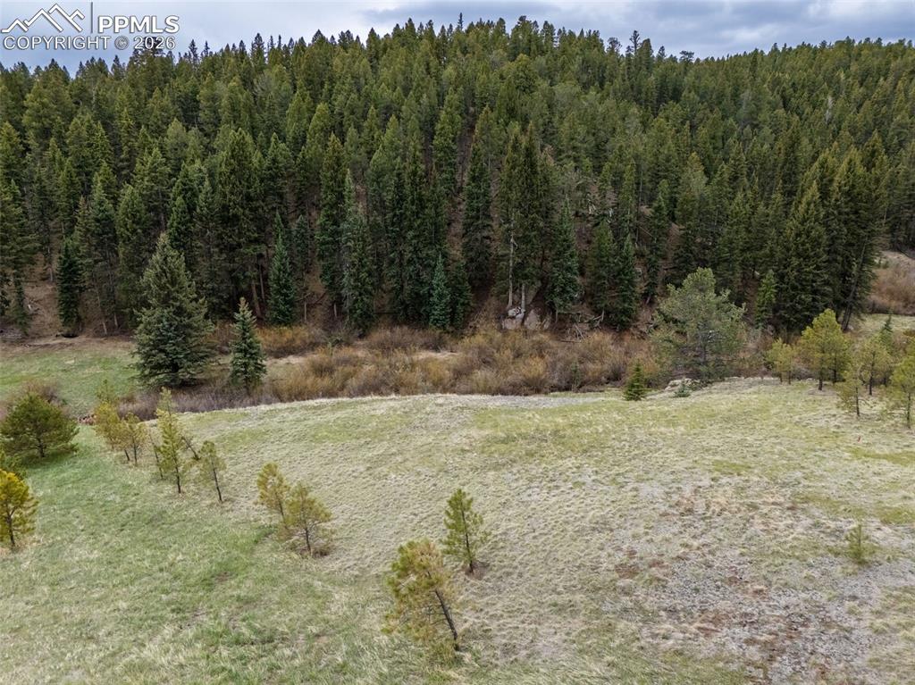 521 University Drive Woodland Park CO 80863