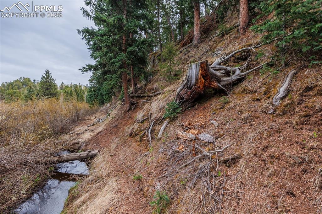521 University Drive Woodland Park CO 80863