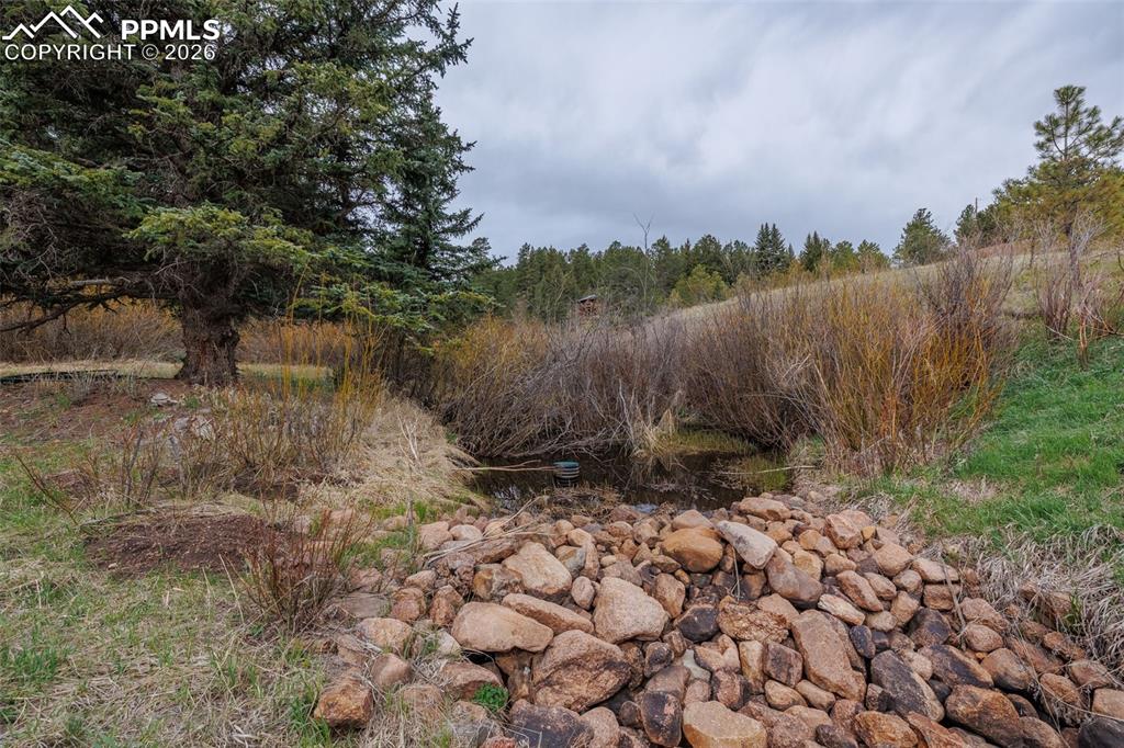 521 University Drive Woodland Park CO 80863