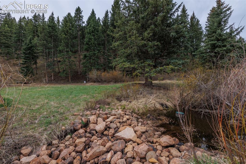 521 University Drive Woodland Park CO 80863