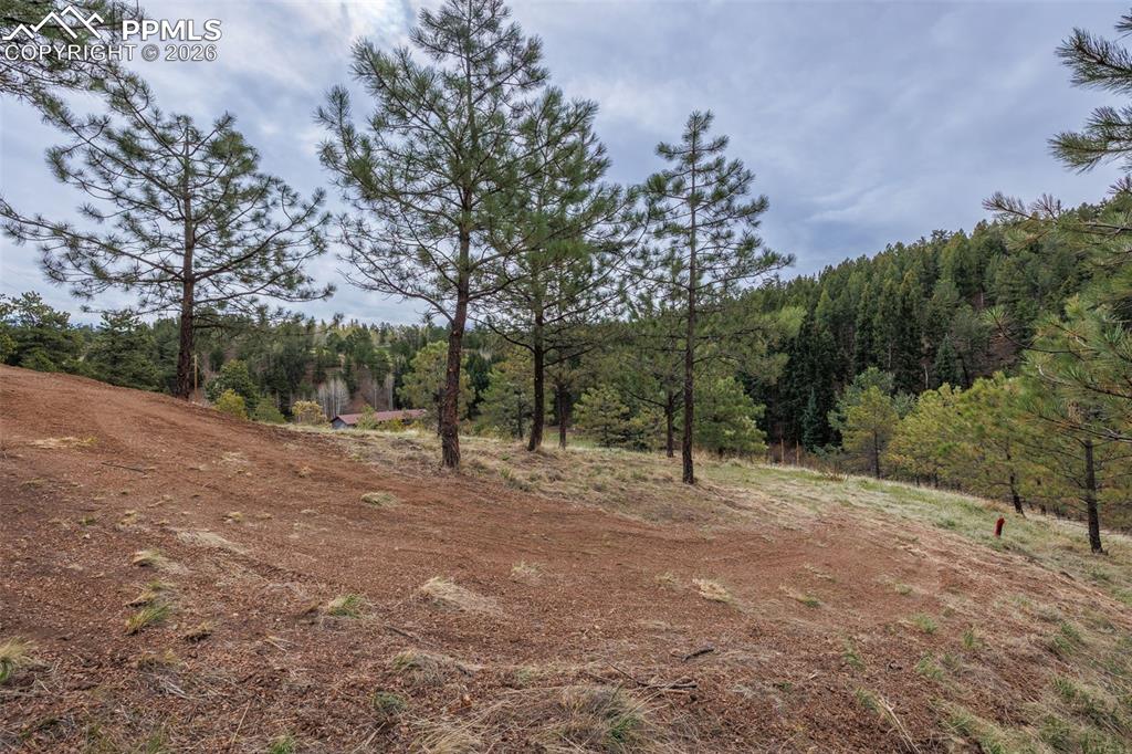 521 University Drive Woodland Park CO 80863