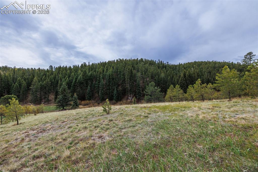 521 University Drive Woodland Park CO 80863