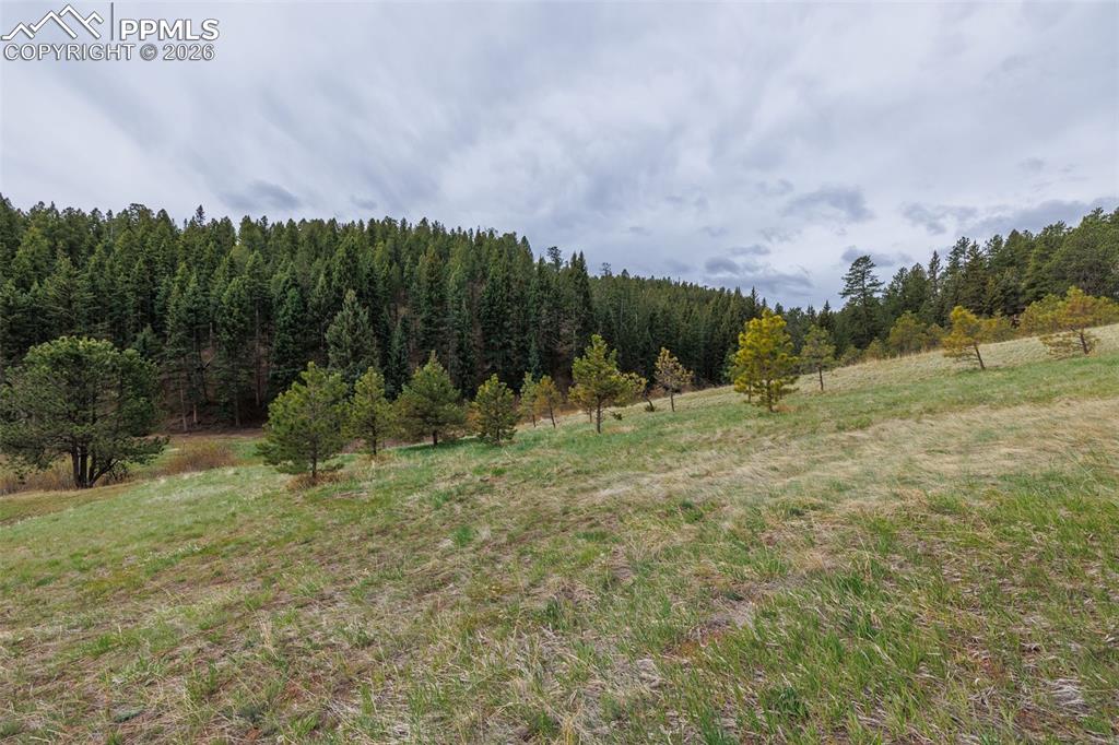 521 University Drive Woodland Park CO 80863