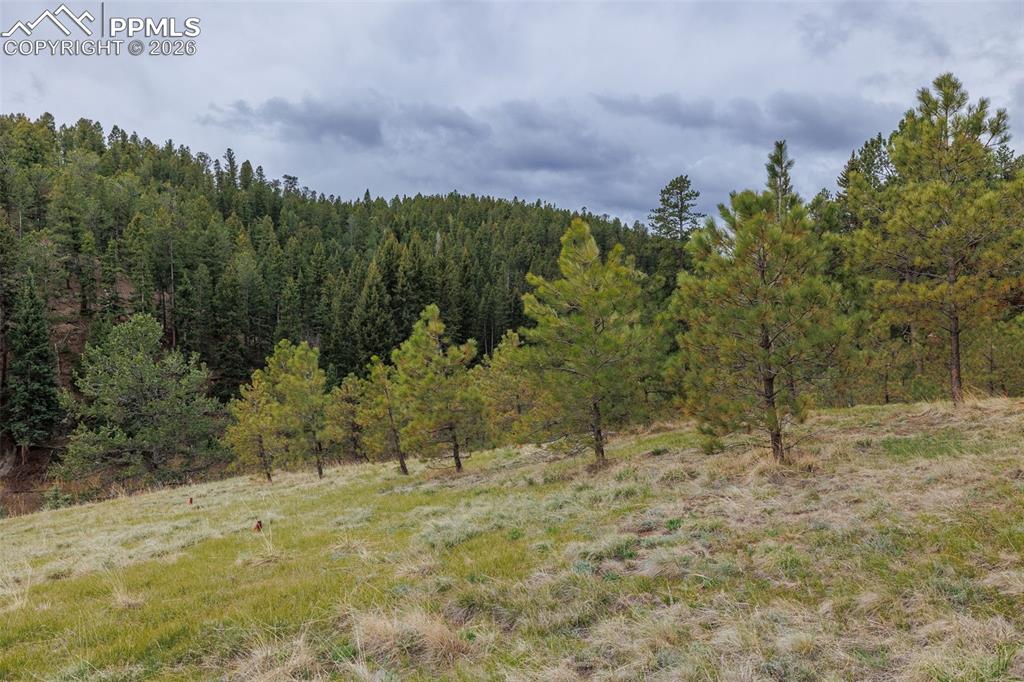 521 University Drive Woodland Park CO 80863
