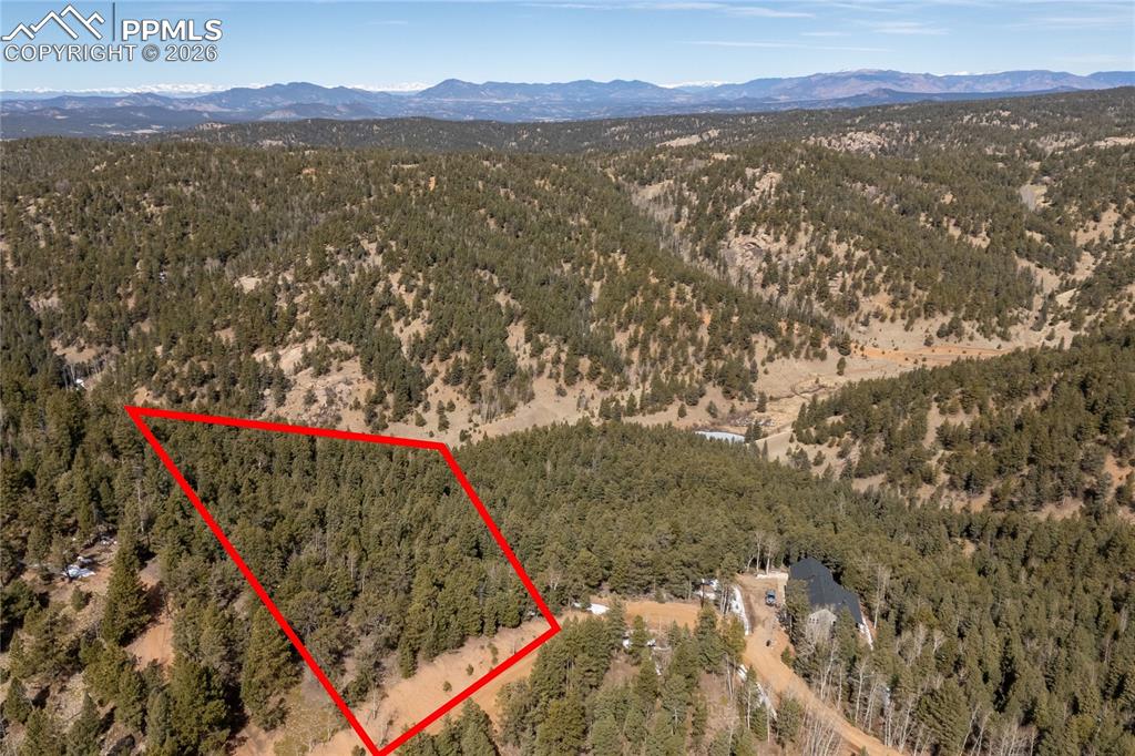 107 Haven Road Divide CO 80814