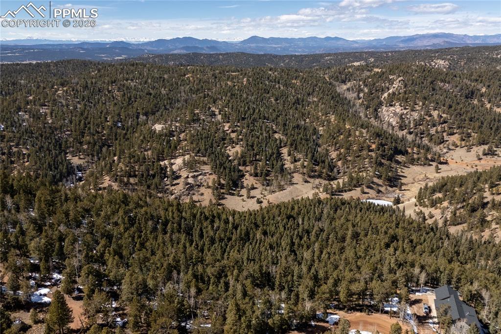 107 Haven Road Divide CO 80814
