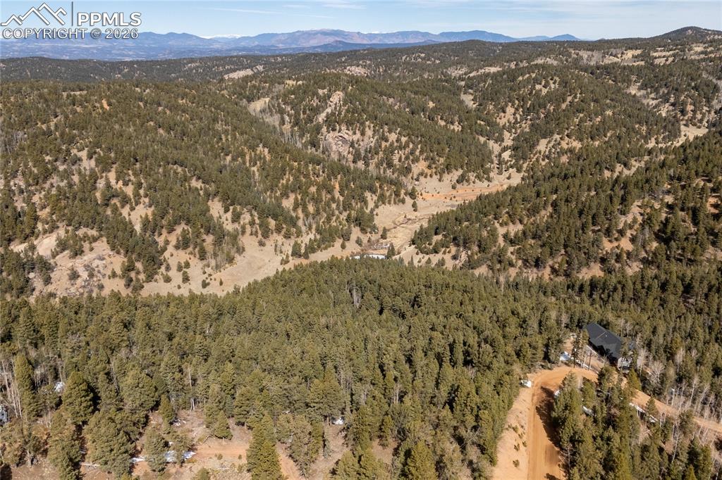 107 Haven Road Divide CO 80814