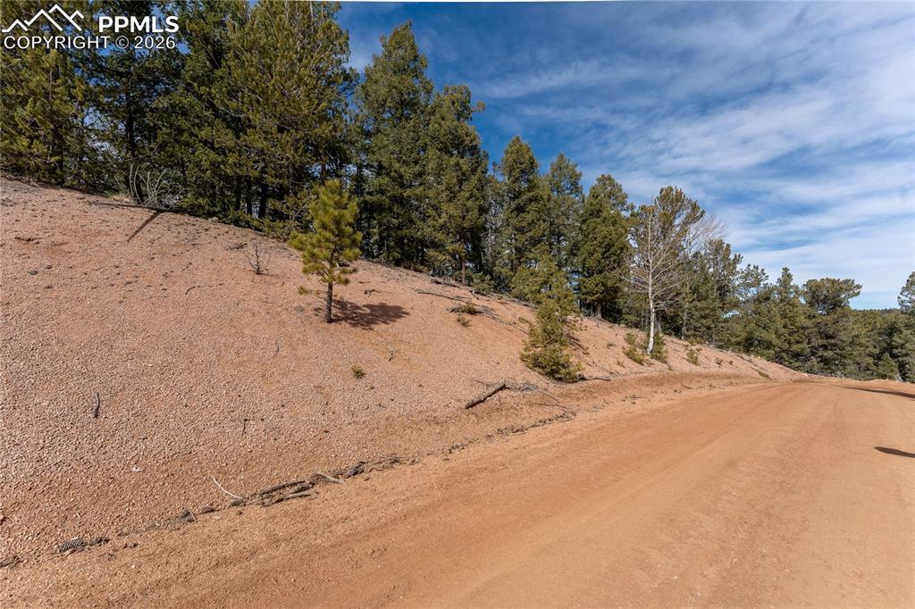 107 Haven Road Divide CO 80814
