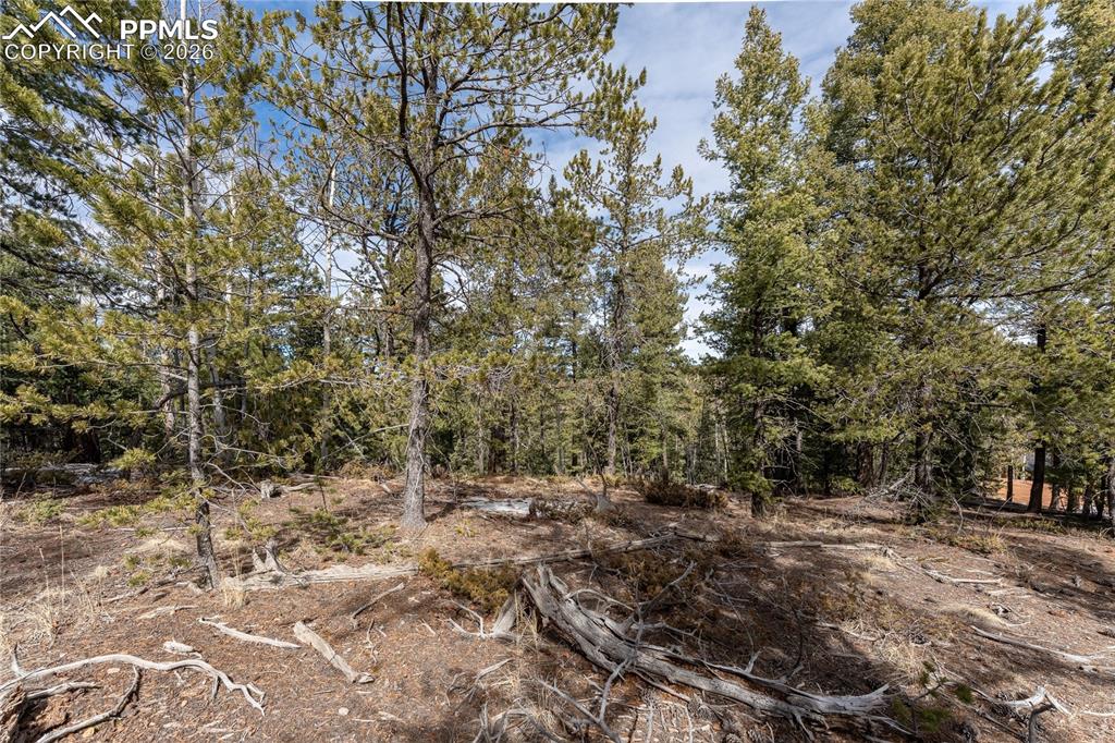 107 Haven Road Divide CO 80814