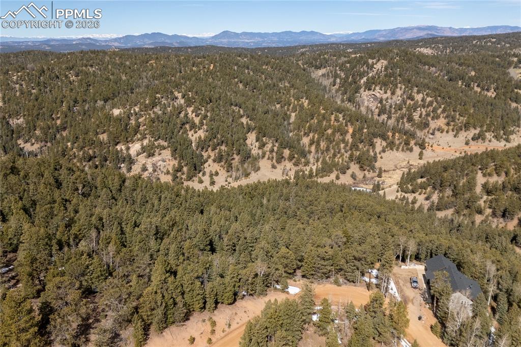 107 Haven Road Divide CO 80814