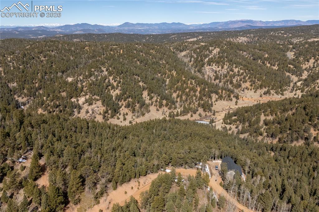 107 Haven Road Divide CO 80814