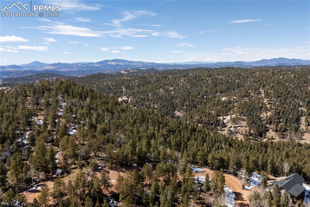 107 Haven Road Divide CO 80814