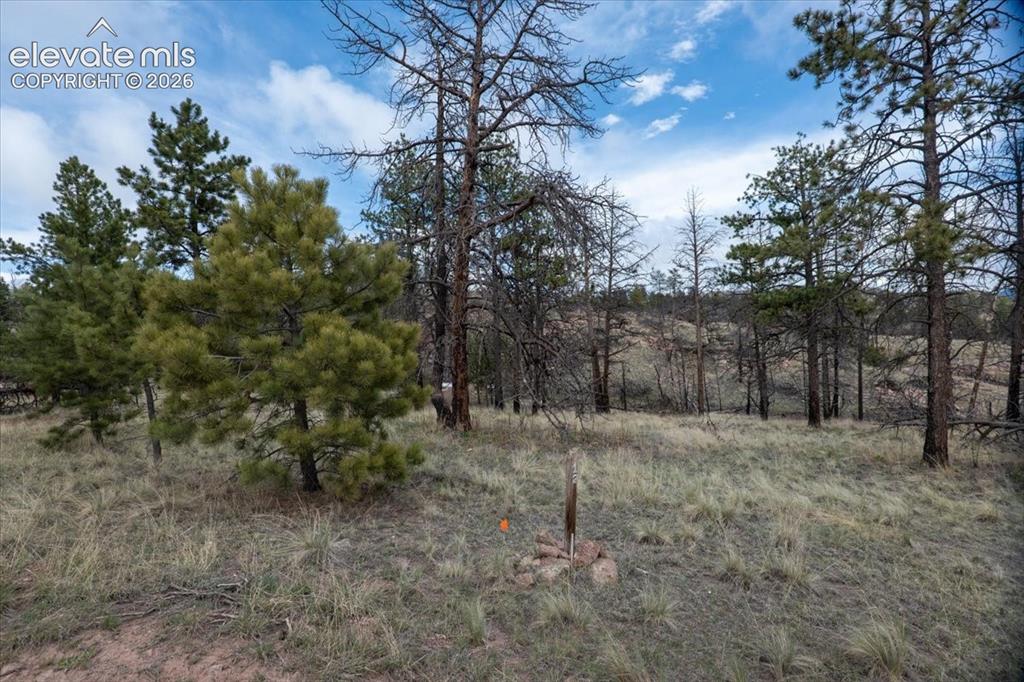 144 Chapparal Trail Florissant CO 80816