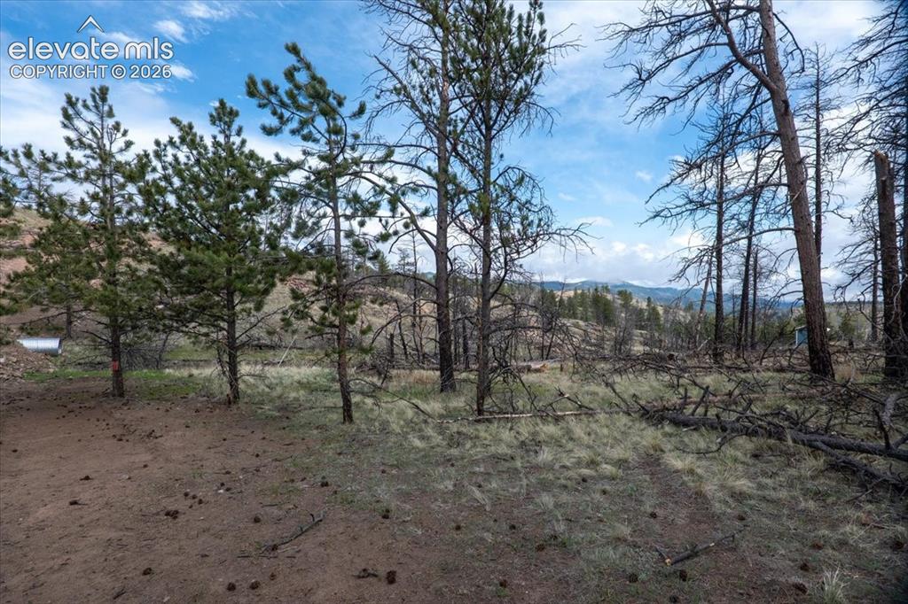 144 Chapparal Trail Florissant CO 80816