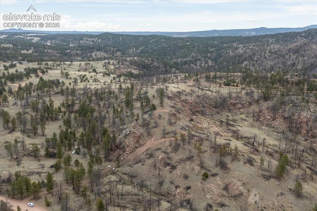 144 Chapparal Trail Florissant CO 80816
