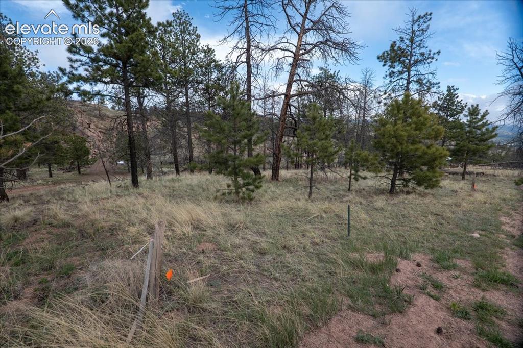 144 Chapparal Trail Florissant CO 80816